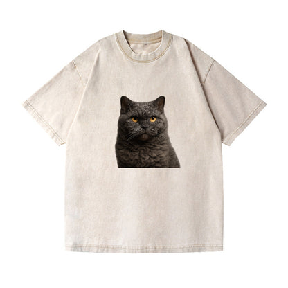 selkirk-rex-curly-charm Hat