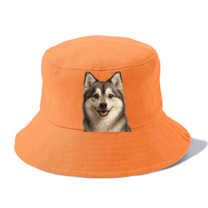 pomsky portrait design Hat