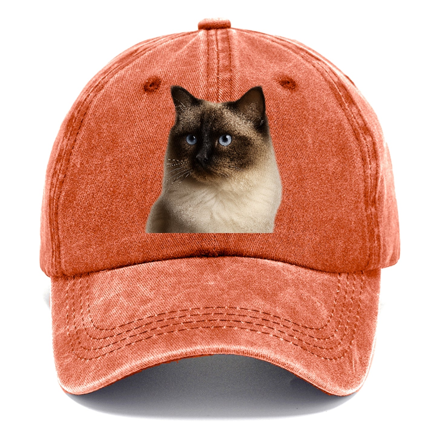 ragdoll-gentle-demeanor Hat