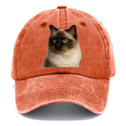 ragdoll-gentle-demeanor Hat