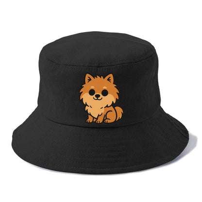 pomeranian orange fluffy sitting pose portrait design Hat