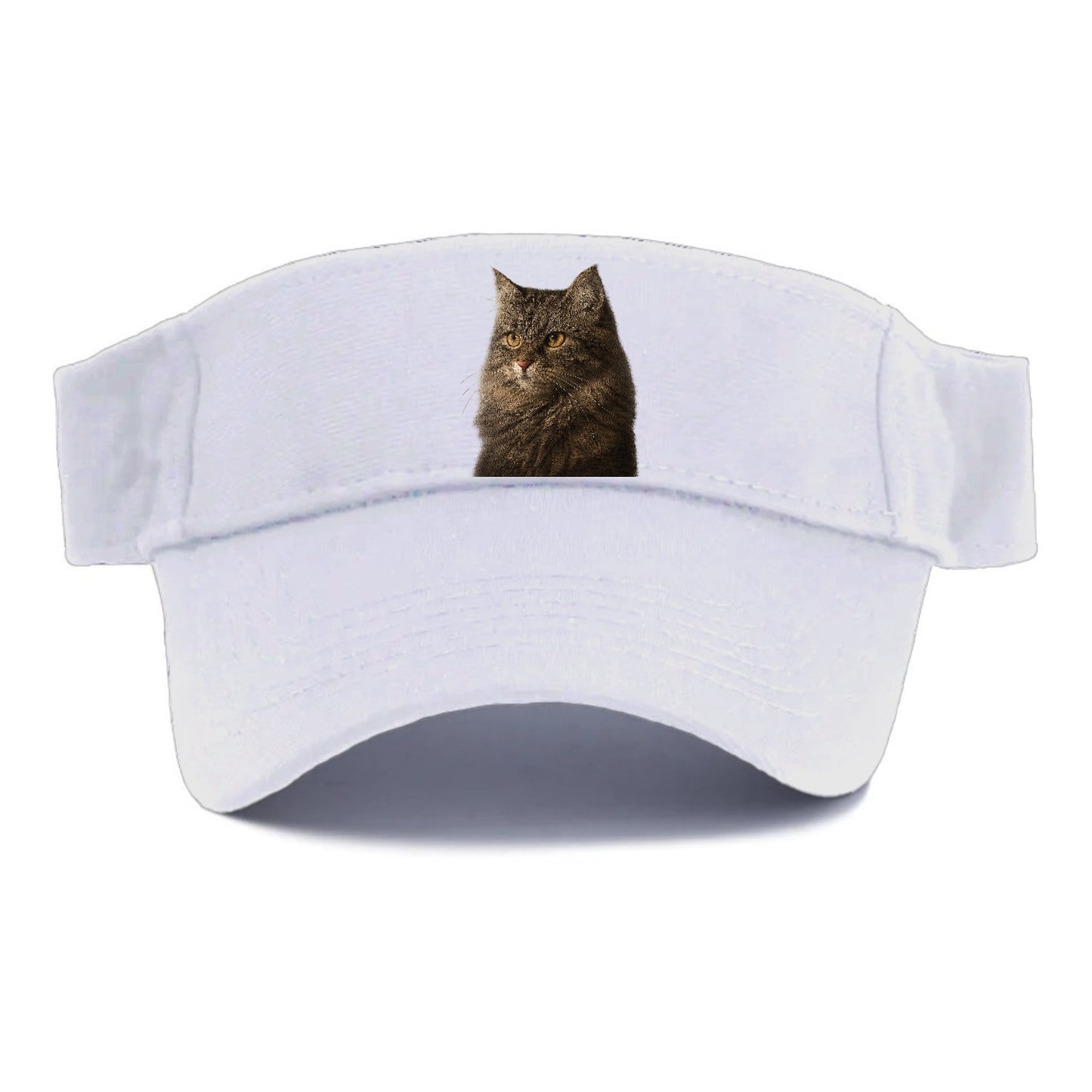 domestic-longhair-graceful-charm Hat