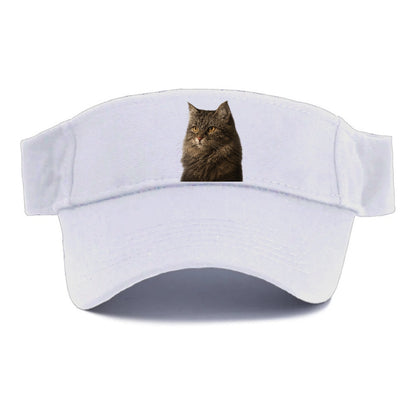 domestic-longhair-graceful-charm Hat