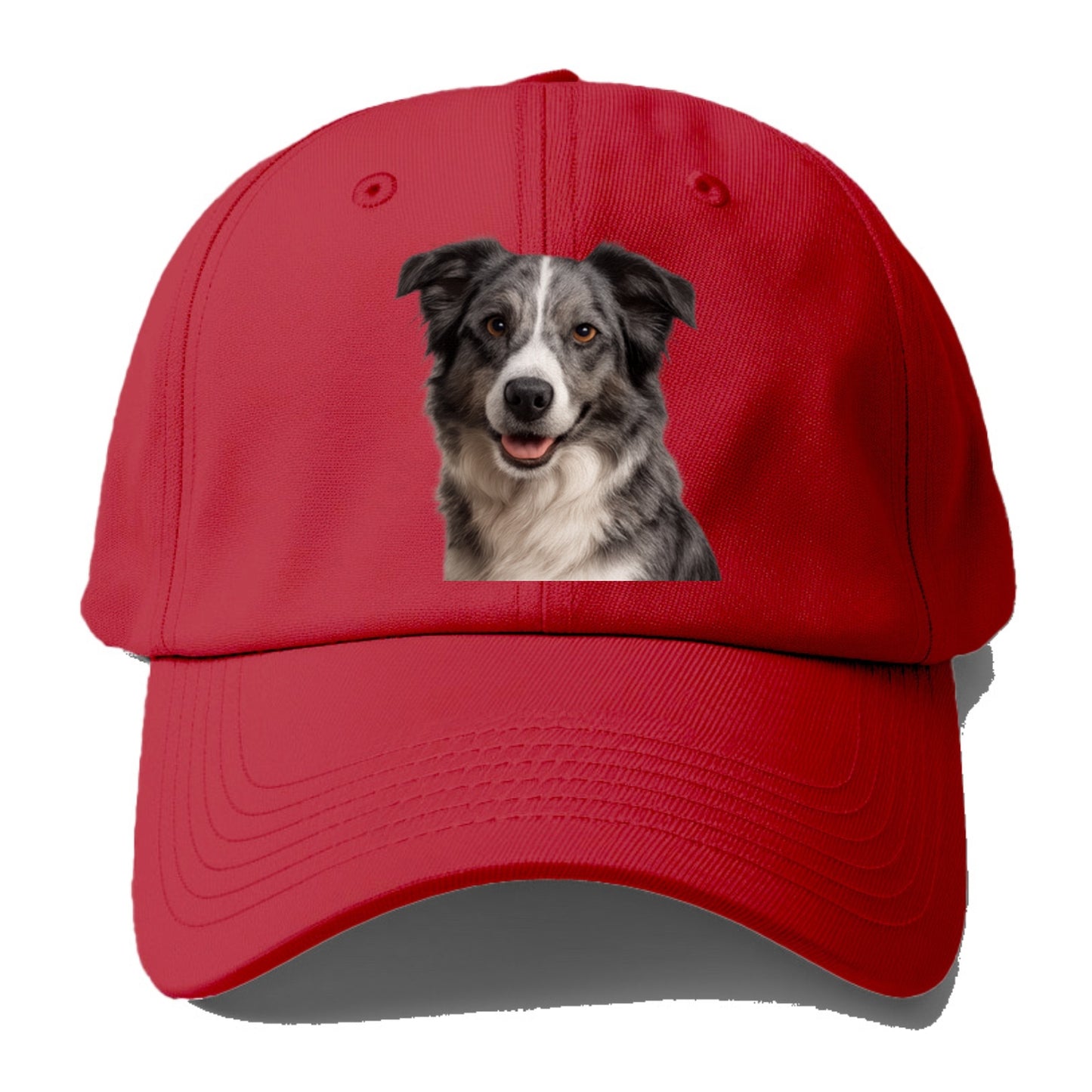 blue merle border collie agile mind Hat