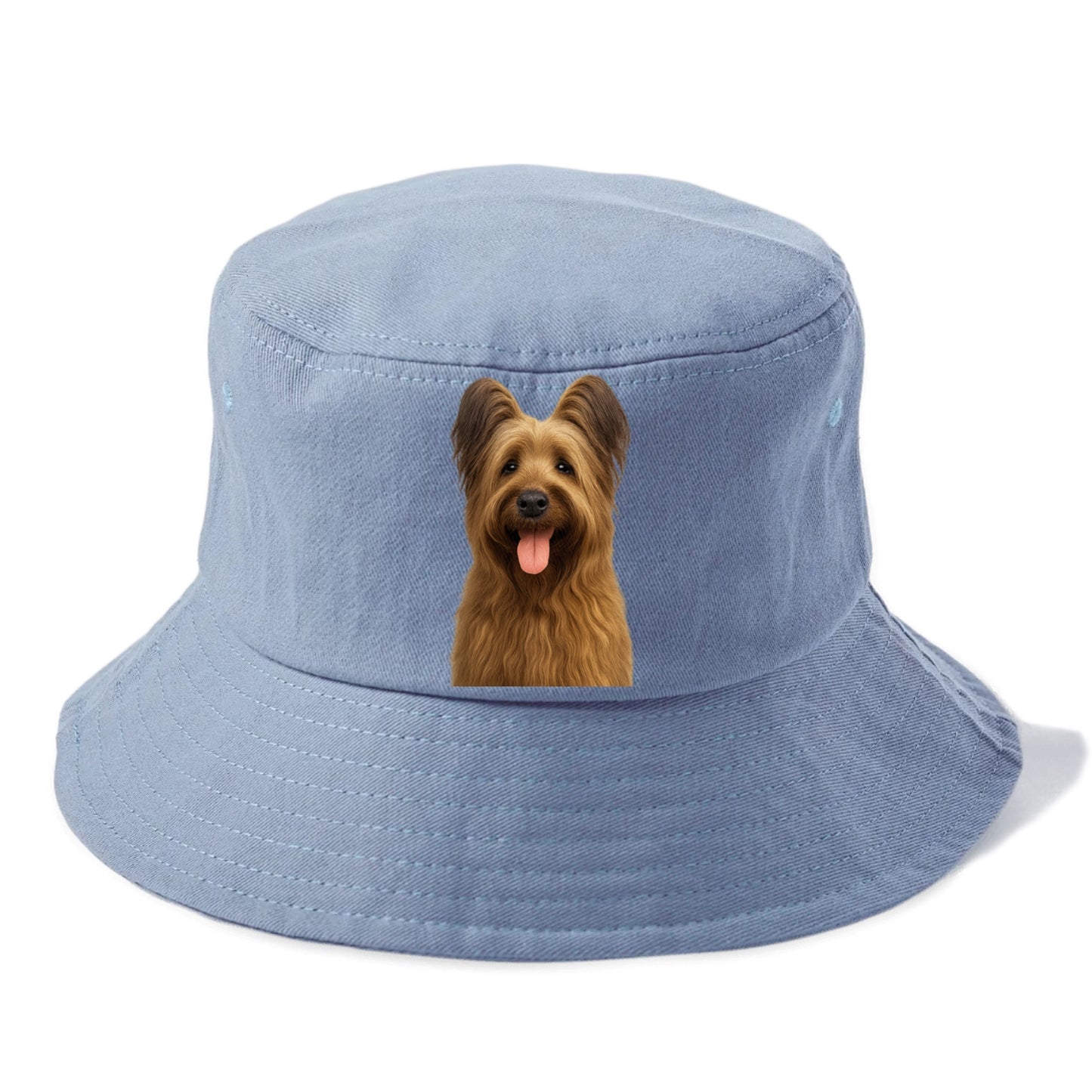 briard: majestic heart, shaggy soul Hat