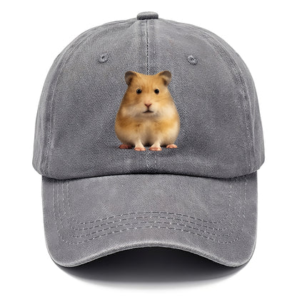 cute realistic hamster illustration portrait Hat