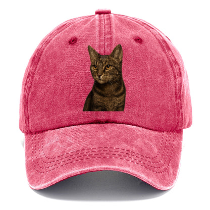 alert-cat-ready-radiant Hat