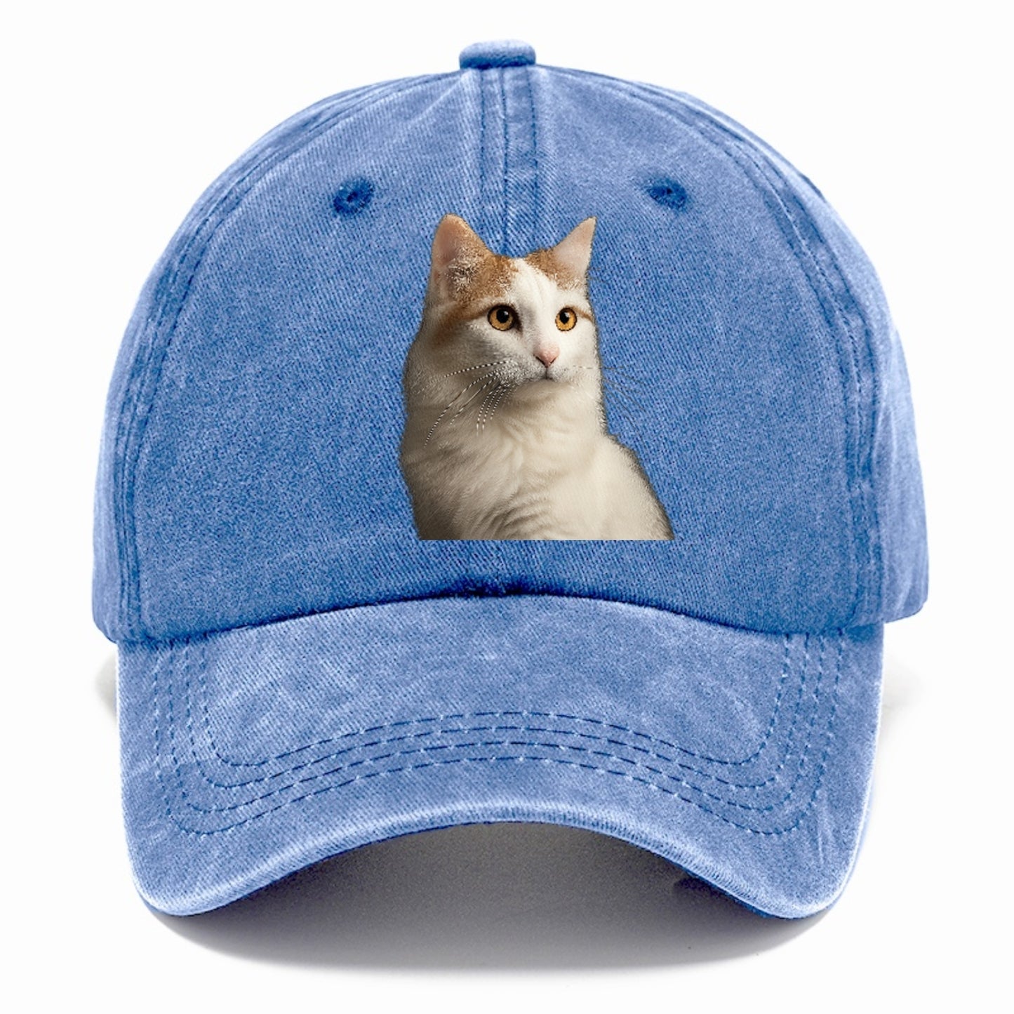 turkish-van-aquatic-elegance Hat