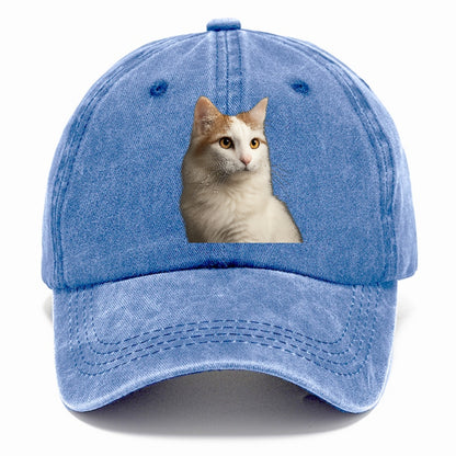 turkish-van-aquatic-elegance Hat