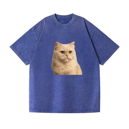 cream-persian-fluffy-elegance Hat