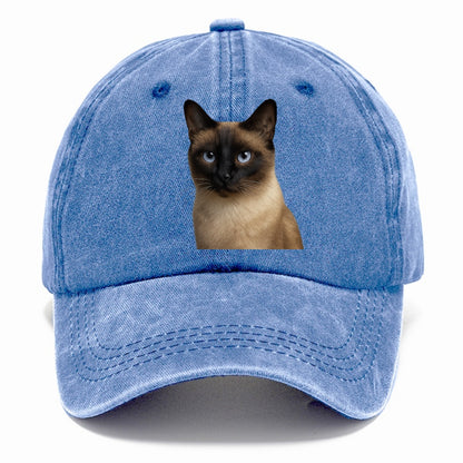siamese mysterious beauty Hat