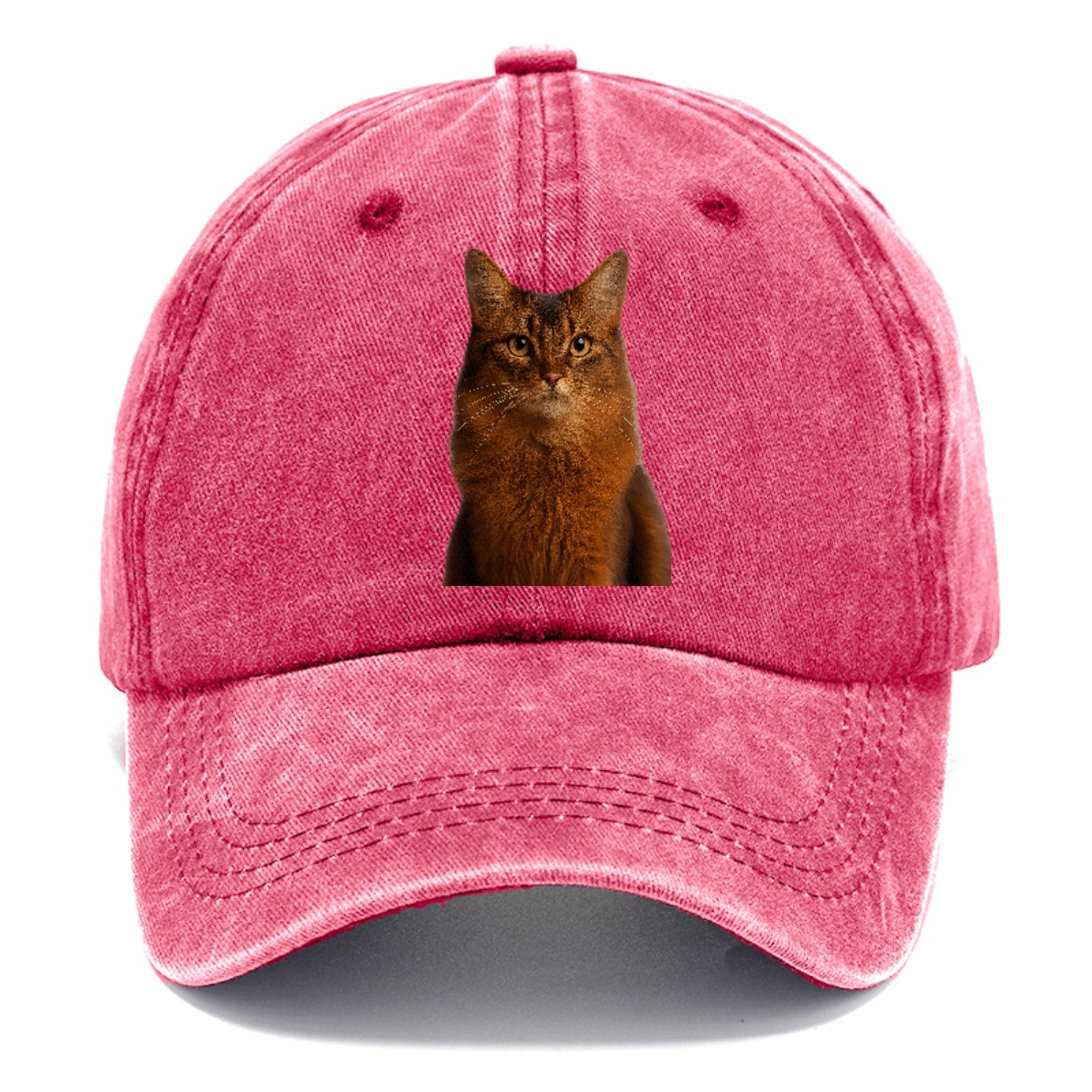 somali-cat-agile-grace Hat