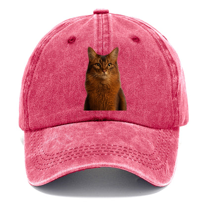 somali-cat-agile-grace Hat