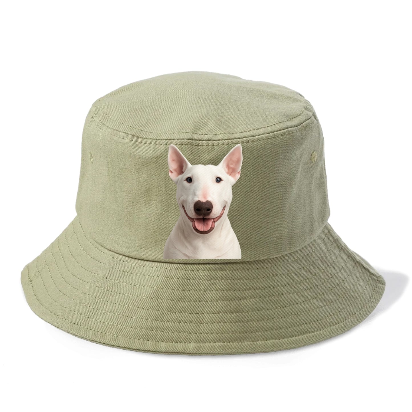 bull terrier bold & brilliant Hat