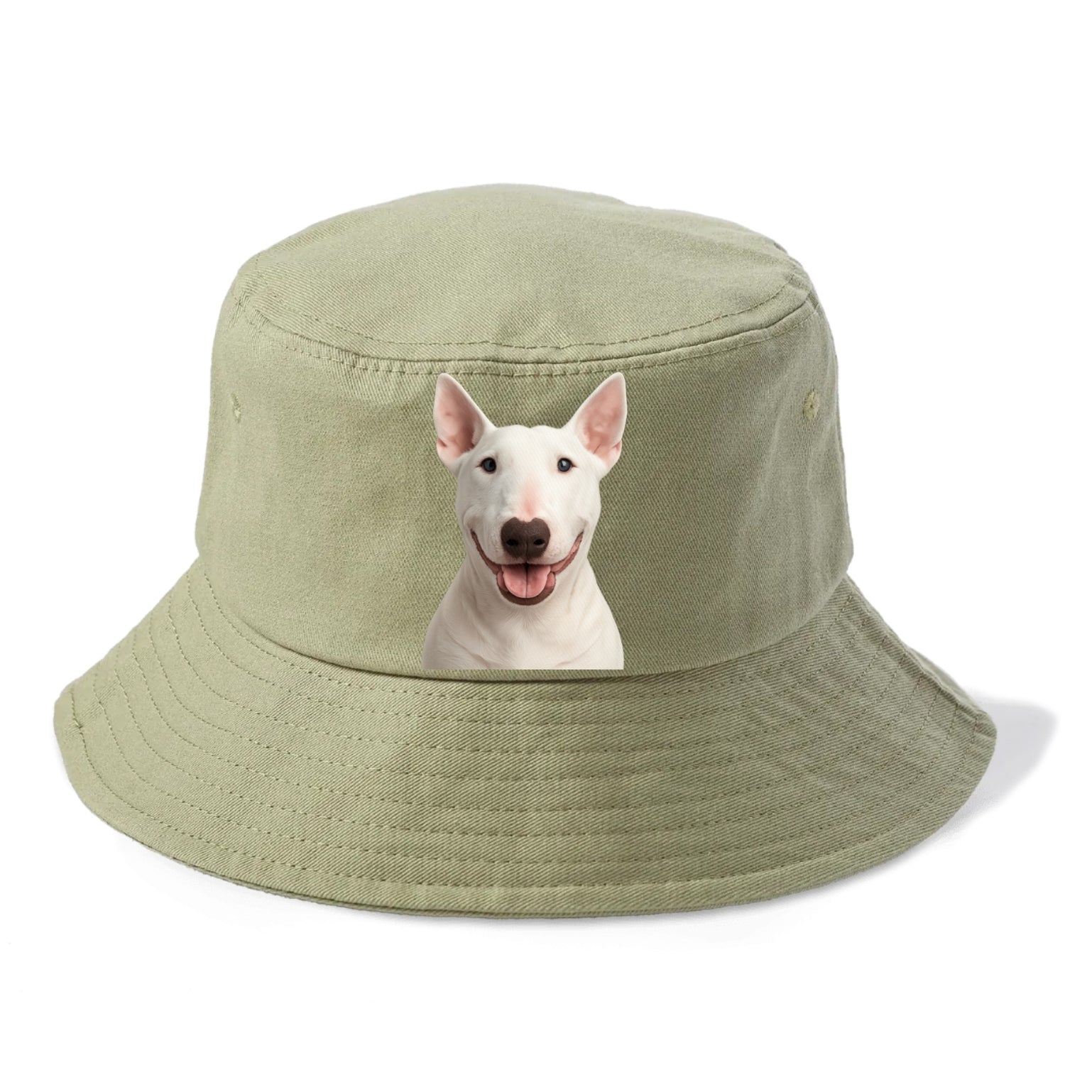 bull terrier bold & brilliant Hat