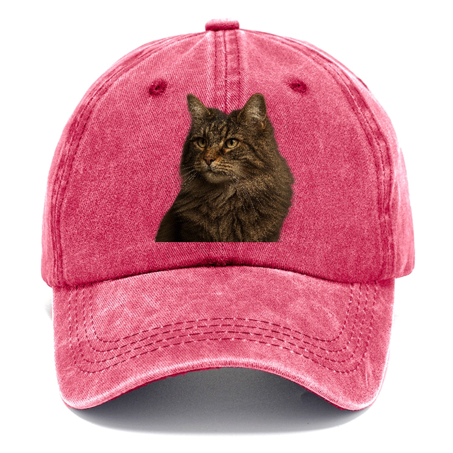 norwegian-forest-cat-wild-majesty Hat