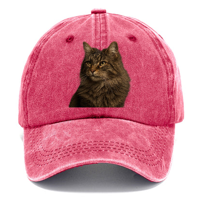 norwegian-forest-cat-wild-majesty Hat