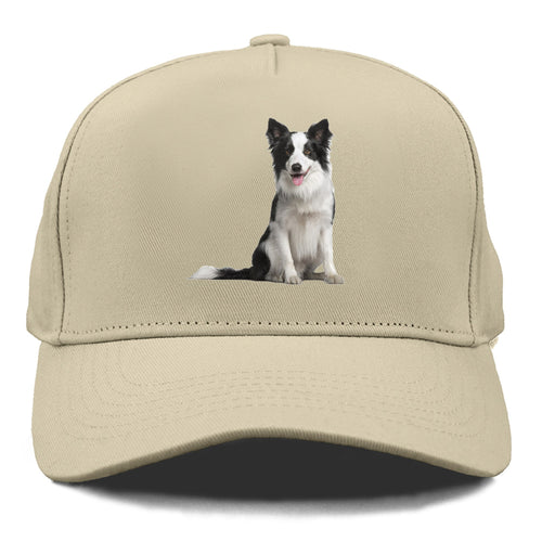 Border Collie Cap