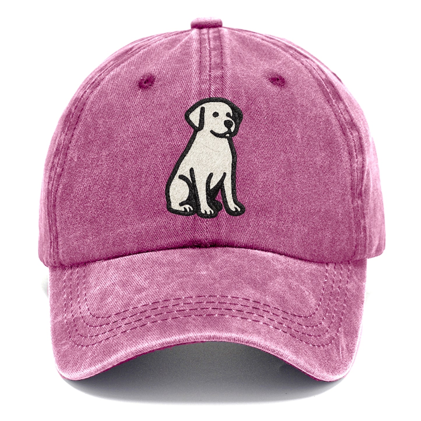 black-labrador-retriever-loyal-companion Hat