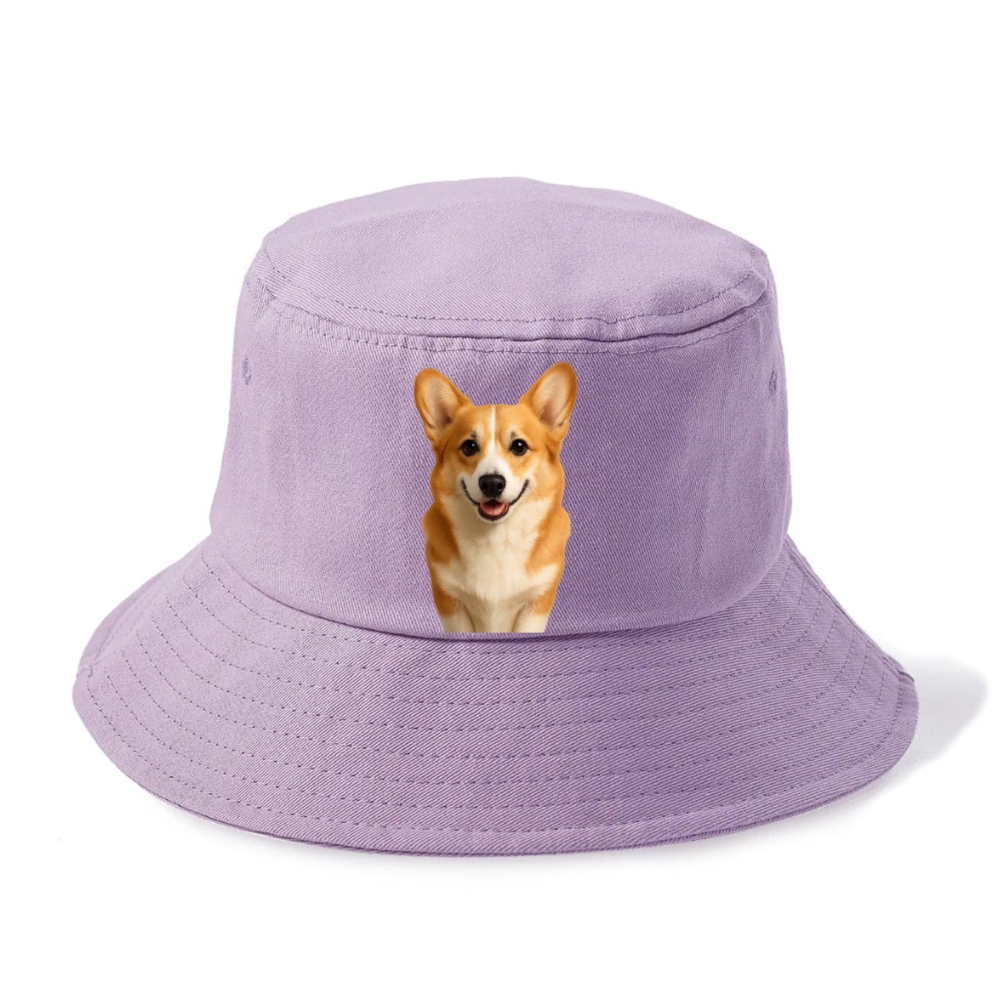 corgi portrait design Hat