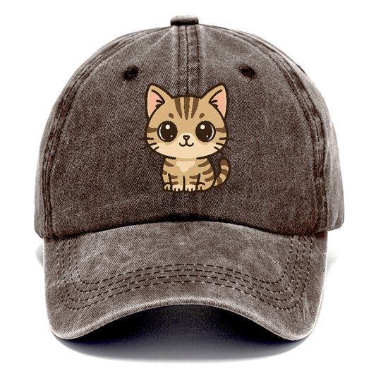 american-shorthair-calm-demeanor Hat