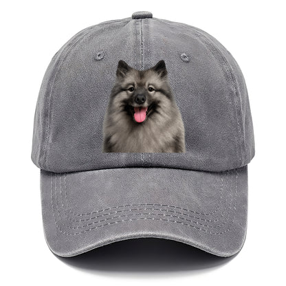 keeshond: silver fox spirit Hat