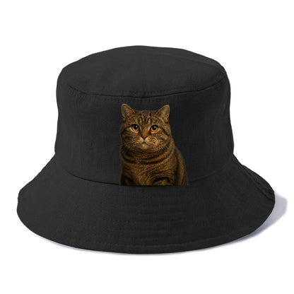 manx-cat-distinct-charm Hat