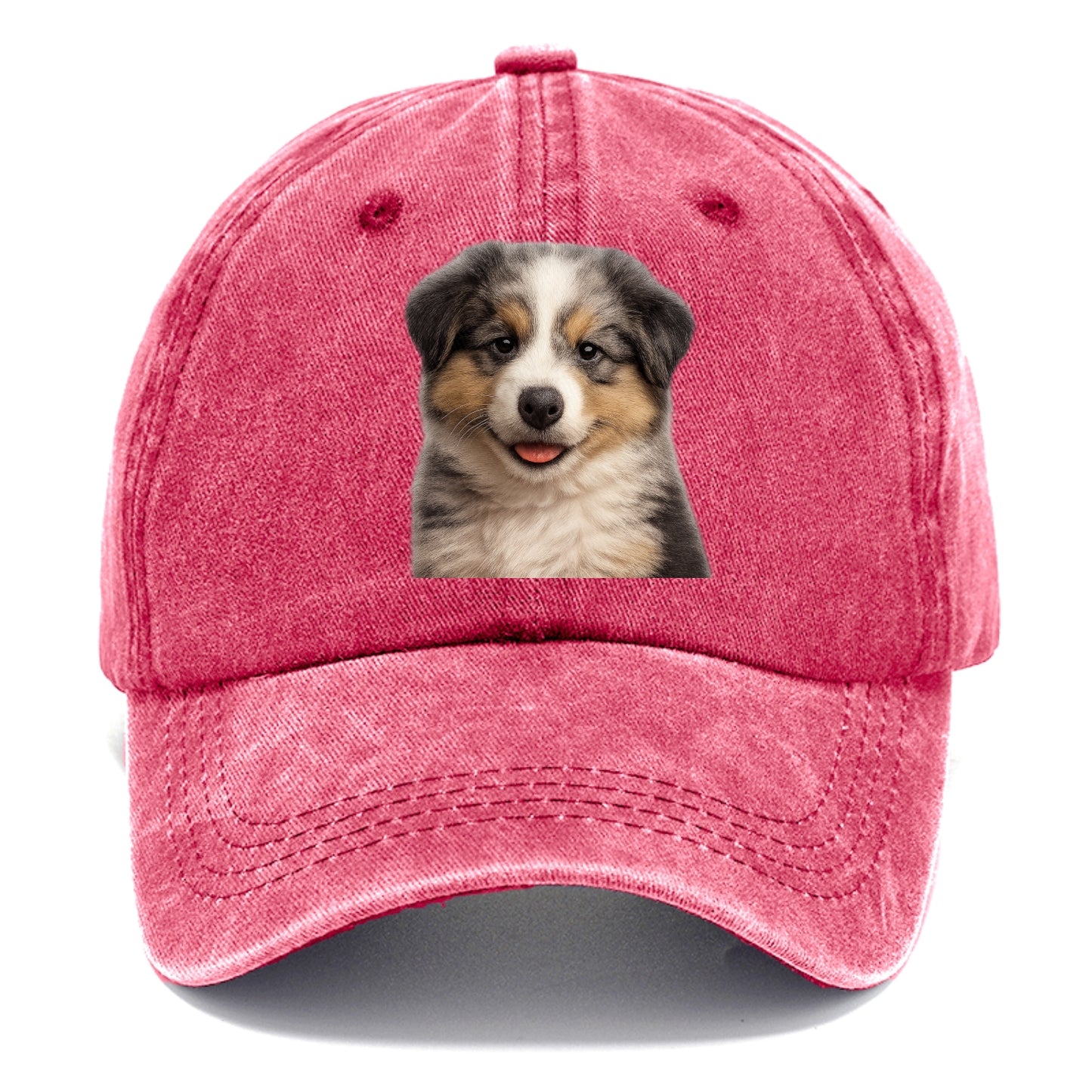 australian shepherd puppy portrait design Hat