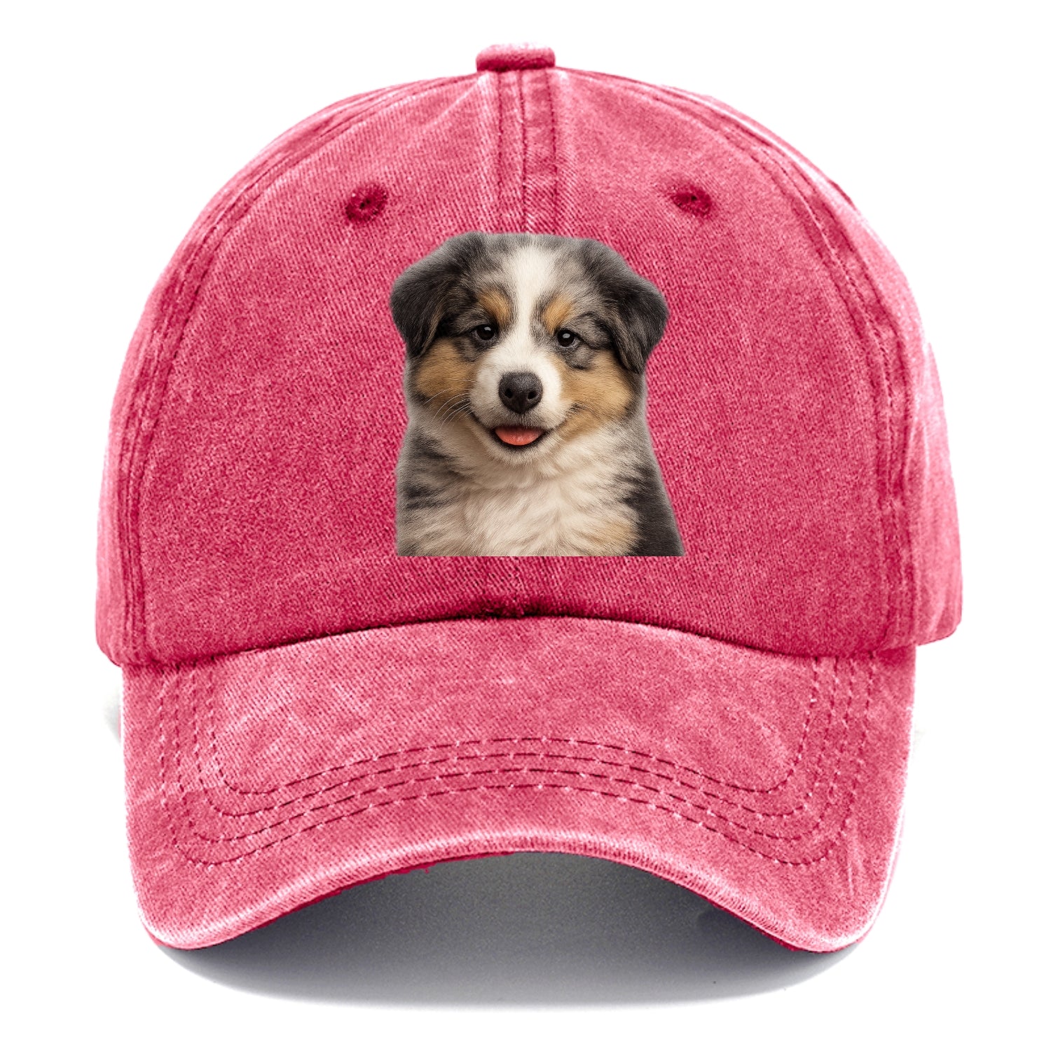 australian shepherd puppy portrait design Hat