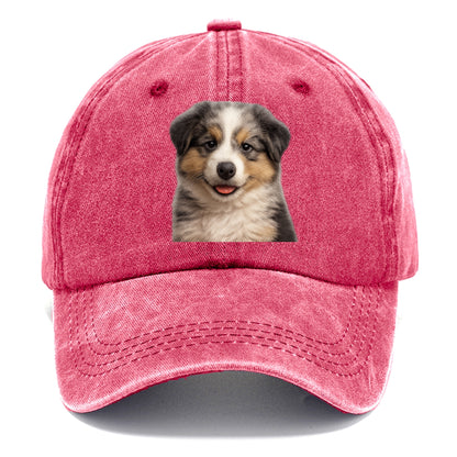 australian shepherd puppy portrait design Hat