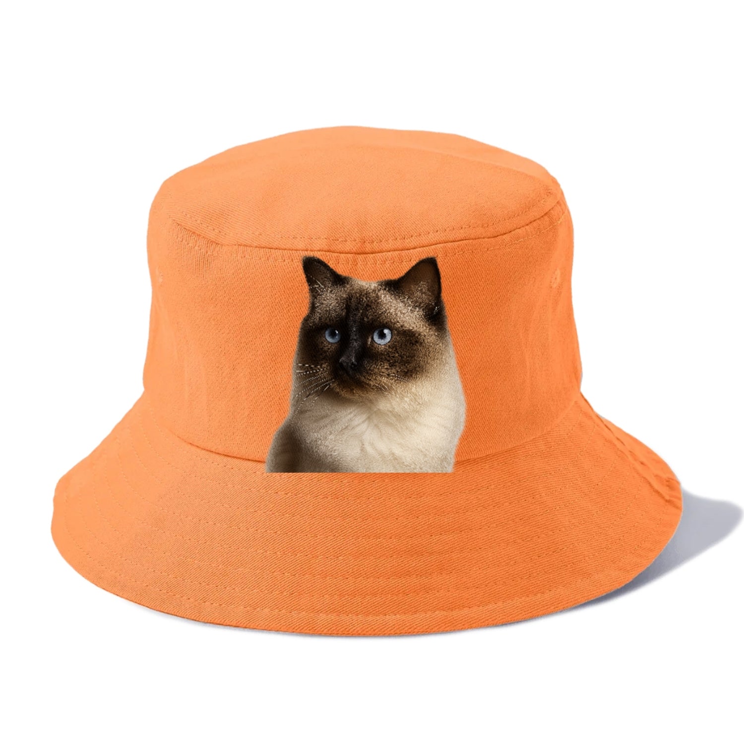 ragdoll-gentle-demeanor Hat