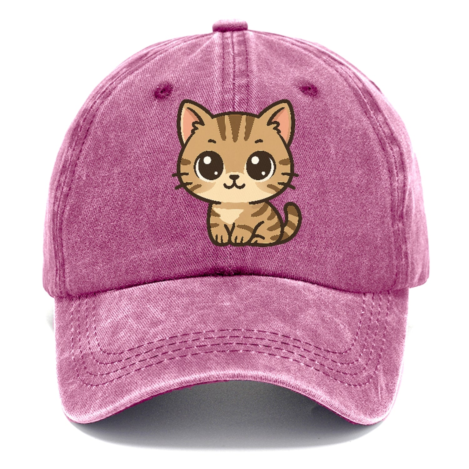 tabby-mix-playful-spirit Hat