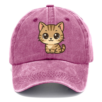 tabby-mix-playful-spirit Hat