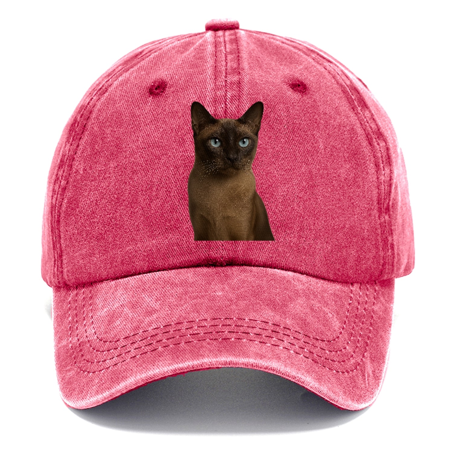 tonkinese-playful-spirit Hat