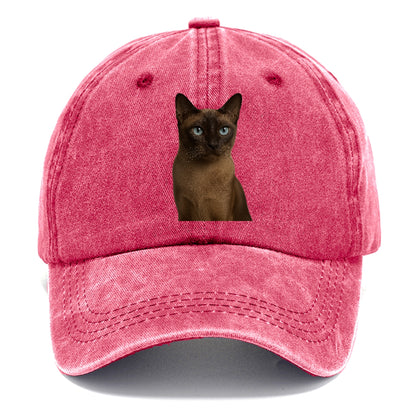 tonkinese-playful-spirit Hat
