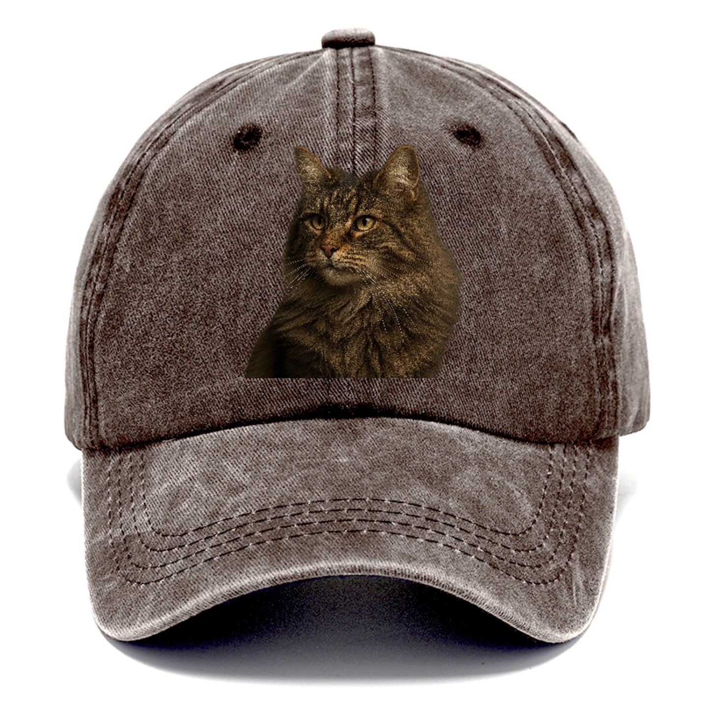 norwegian-forest-cat-wild-majesty Hat