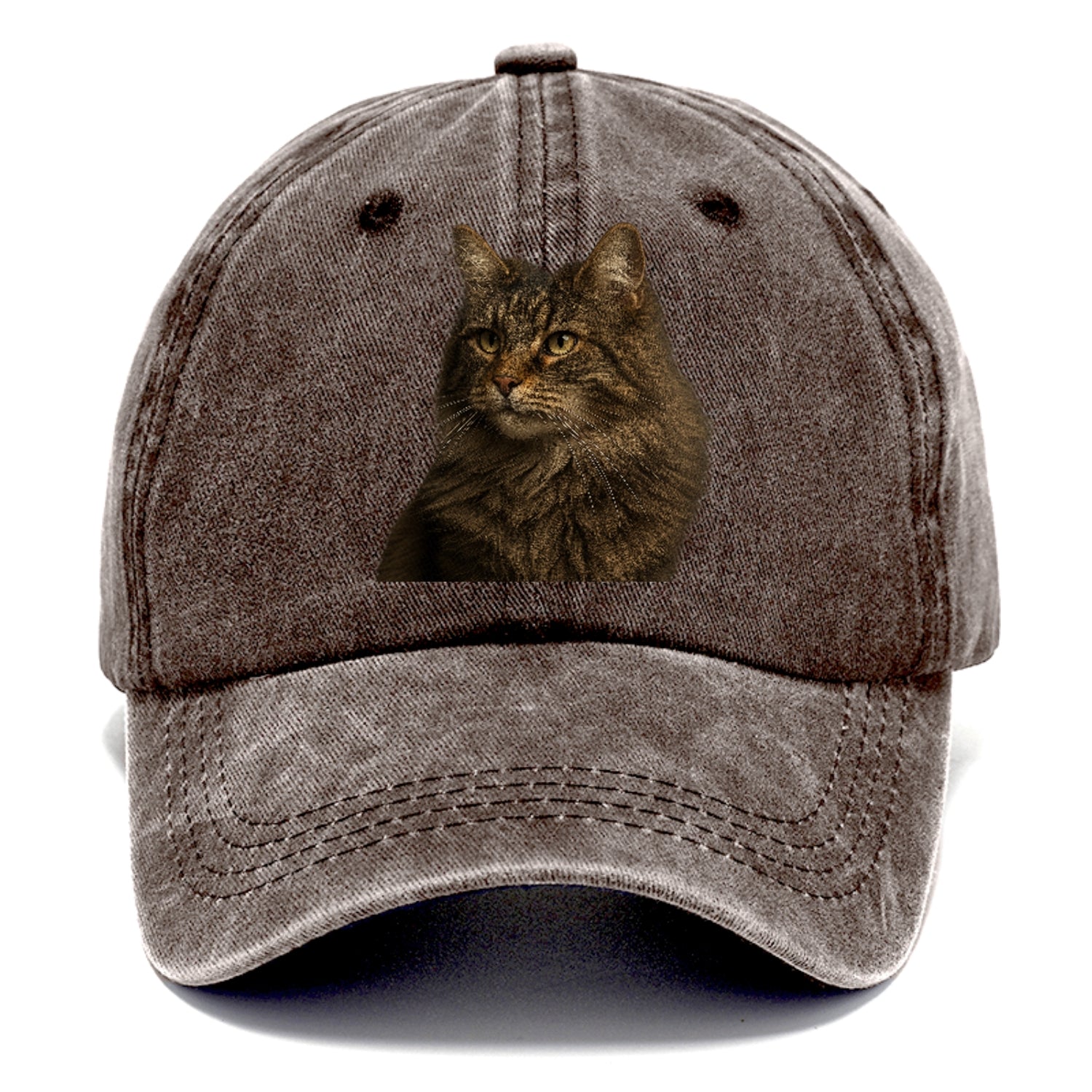 norwegian-forest-cat-wild-majesty Hat