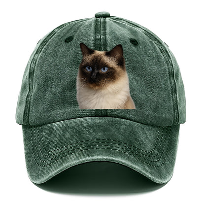 ragdoll-gentle-charm Hat