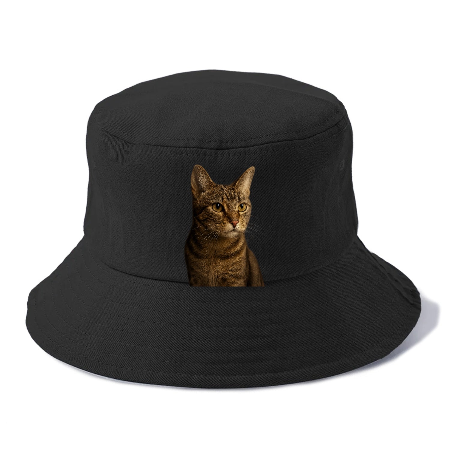 playful-cat-playful-spirit Hat