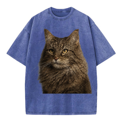 norwegian-forest-cat-wilderness-spirit Hat