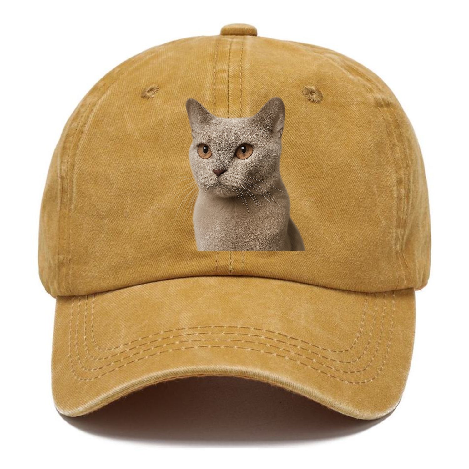 lilac-cat-playful-spirit Hat
