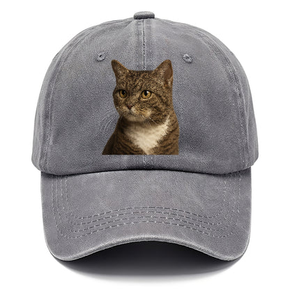 american-wirehair-unique-charm Hat