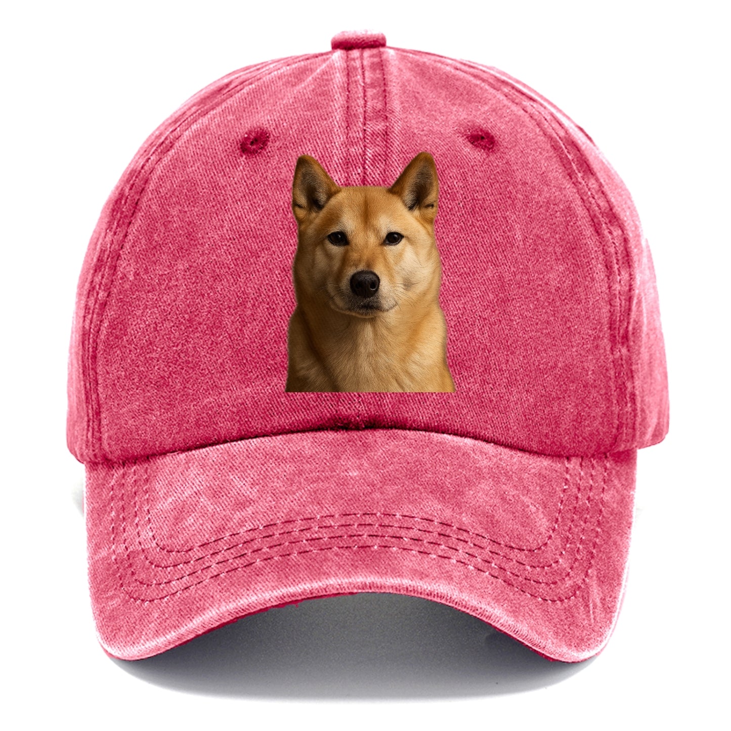 guardian Hat