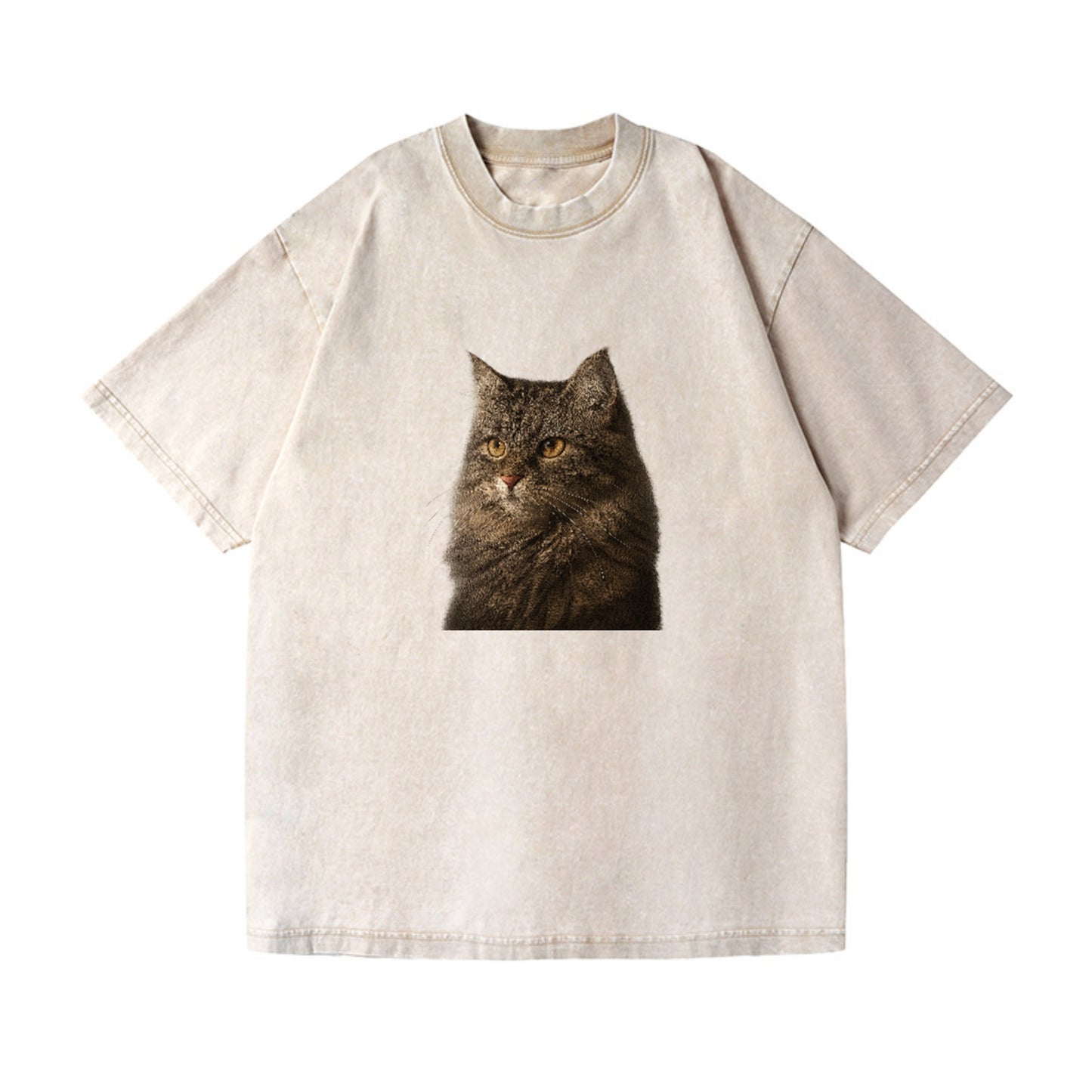 domestic-longhair-graceful-charm Hat