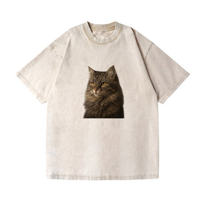 domestic-longhair-graceful-charm Hat