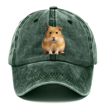 cute realistic hamster illustration portrait Hat