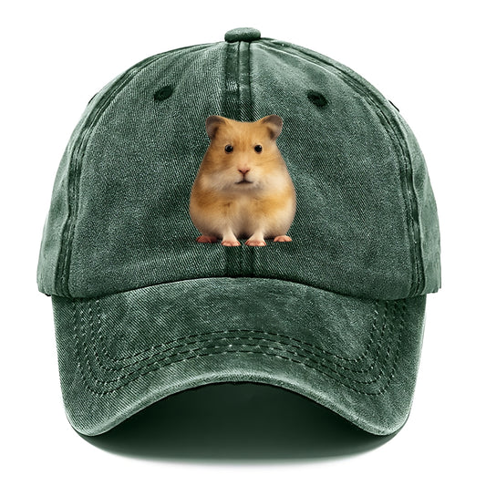 cute realistic hamster illustration portrait Hat