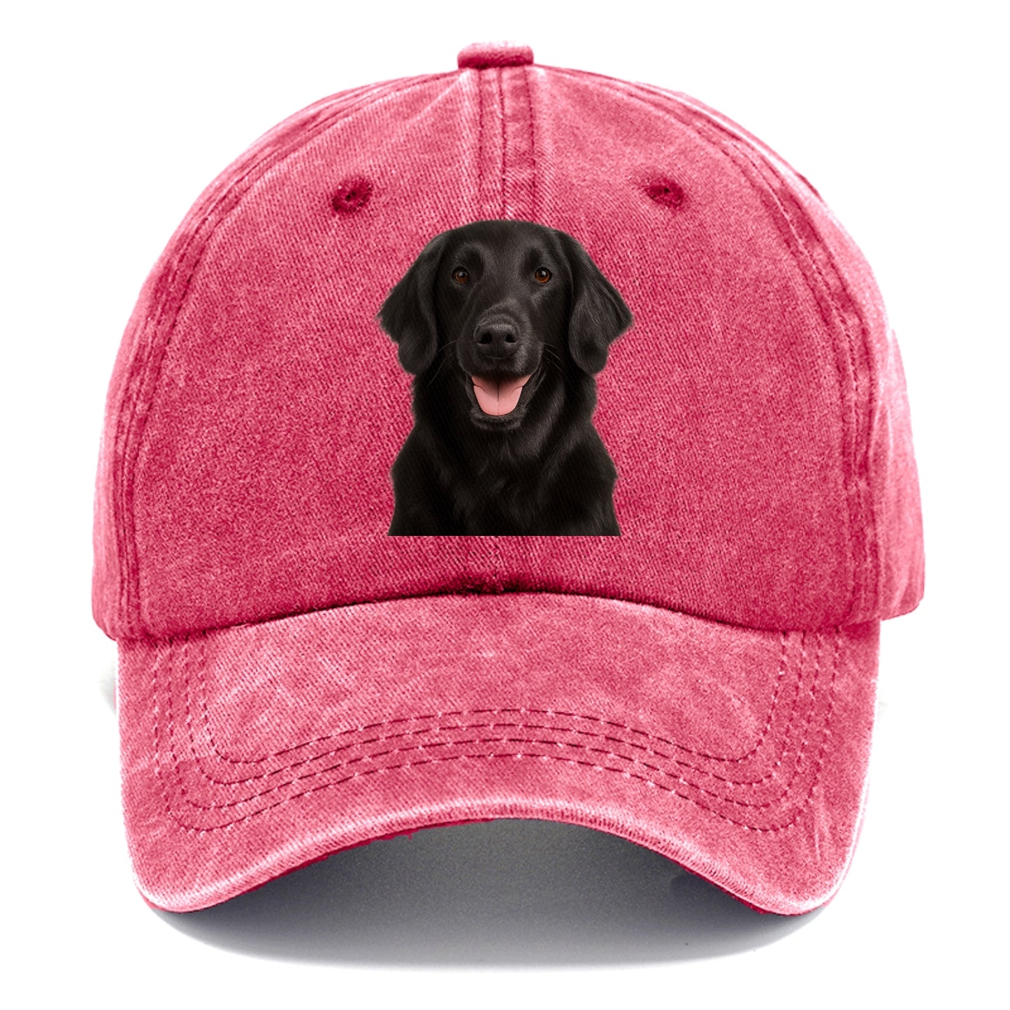 coated retriever joyful spirit Hat