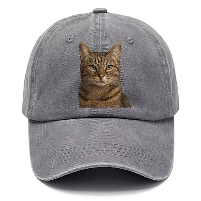 content-cat-curious-charm Hat