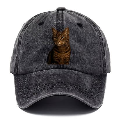 brown-tabby-cozy-charm Hat